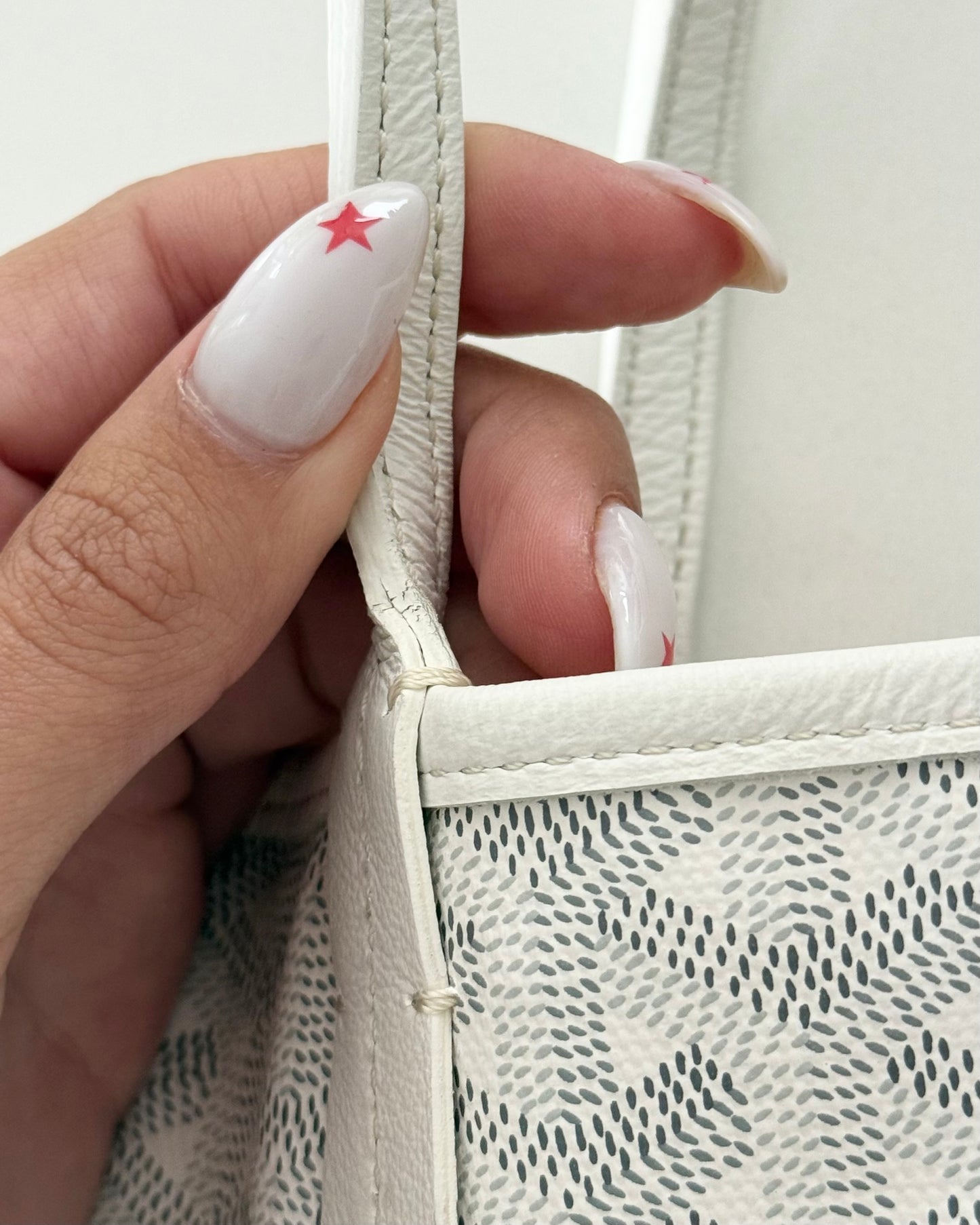Goyard White Mini Anjou Tote