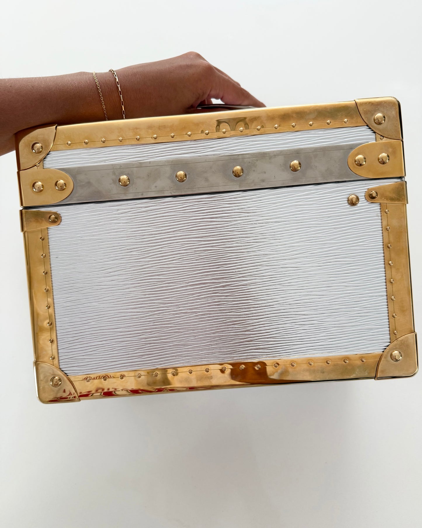 Louis Vuitton RARE Silver Epi Leather and Gold Metal Boite Promenade Case from Fall 2025 Runway