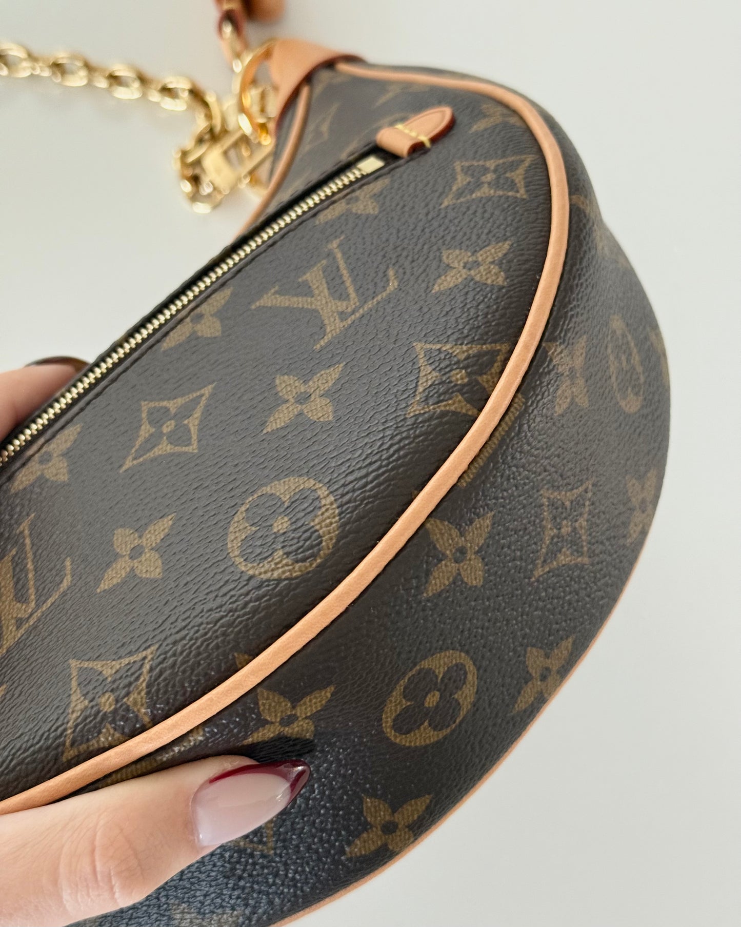 Louis Vuitton Monogram Loop Bag