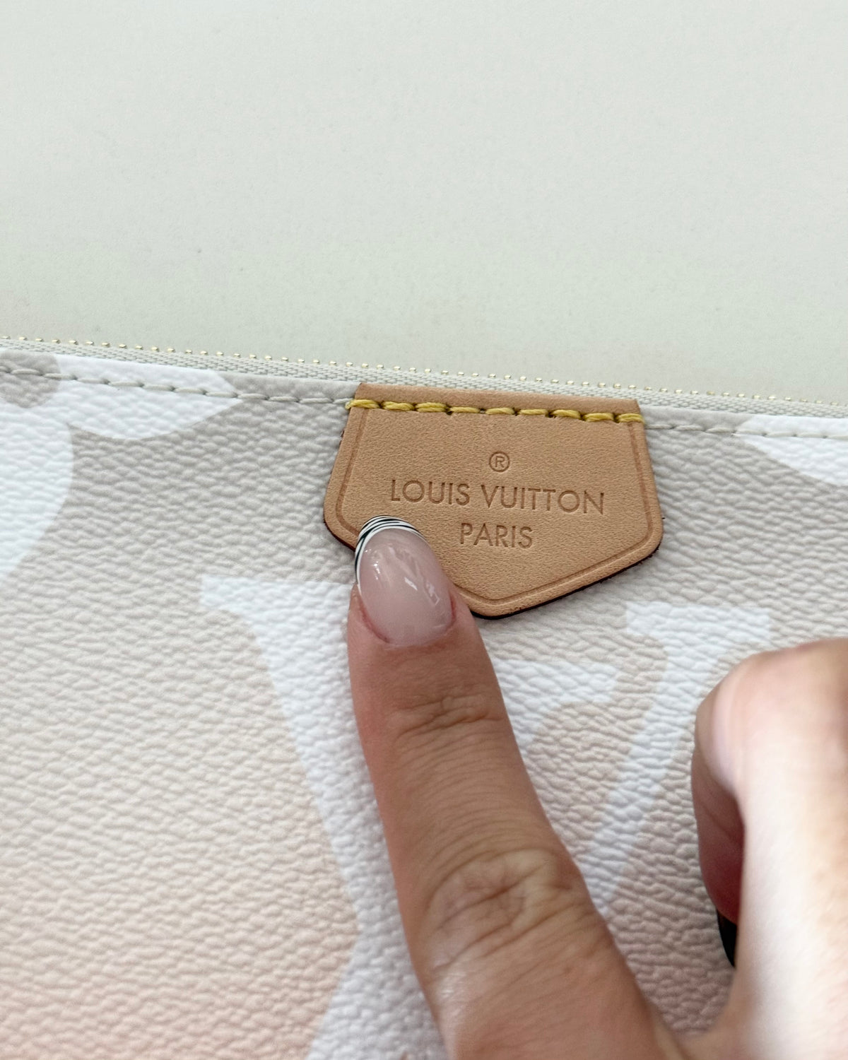 Louis Vuitton Limited Edition By the Pool Multi Accessories Pochette