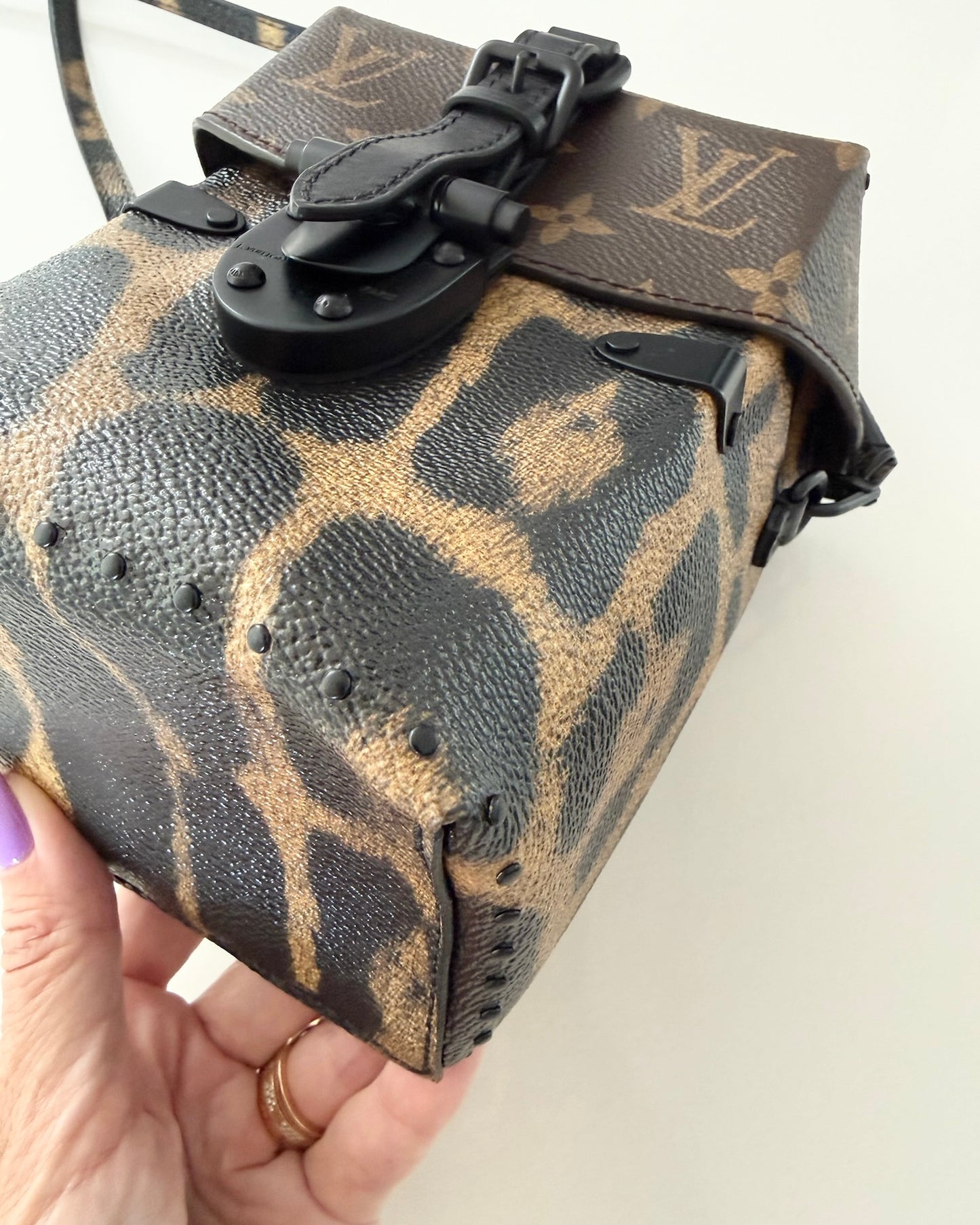 Louis Vuitton Monogram and Leopard Camera Box from 2016