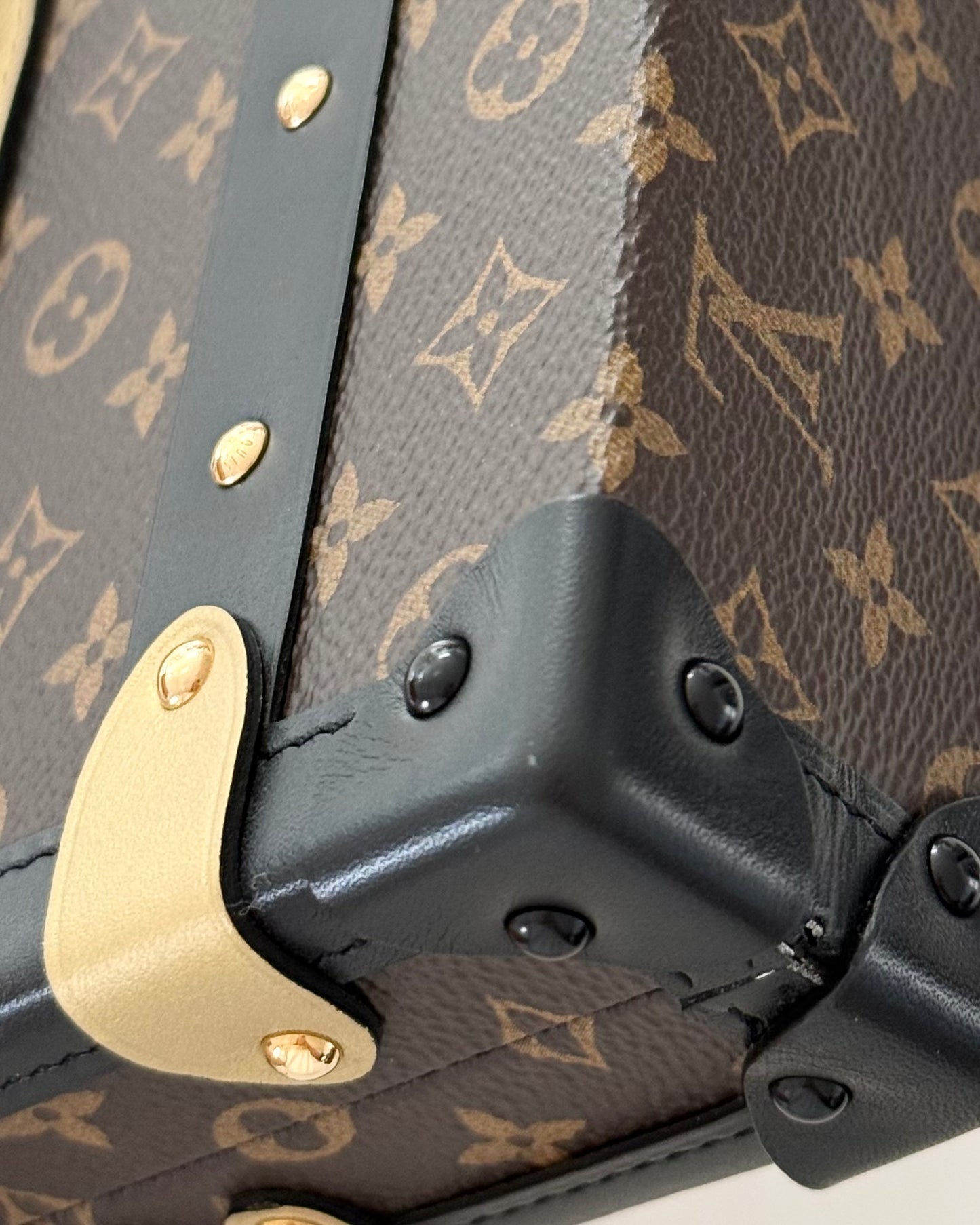 Louis Vuitton Limited Edition Parisian Petite Malle