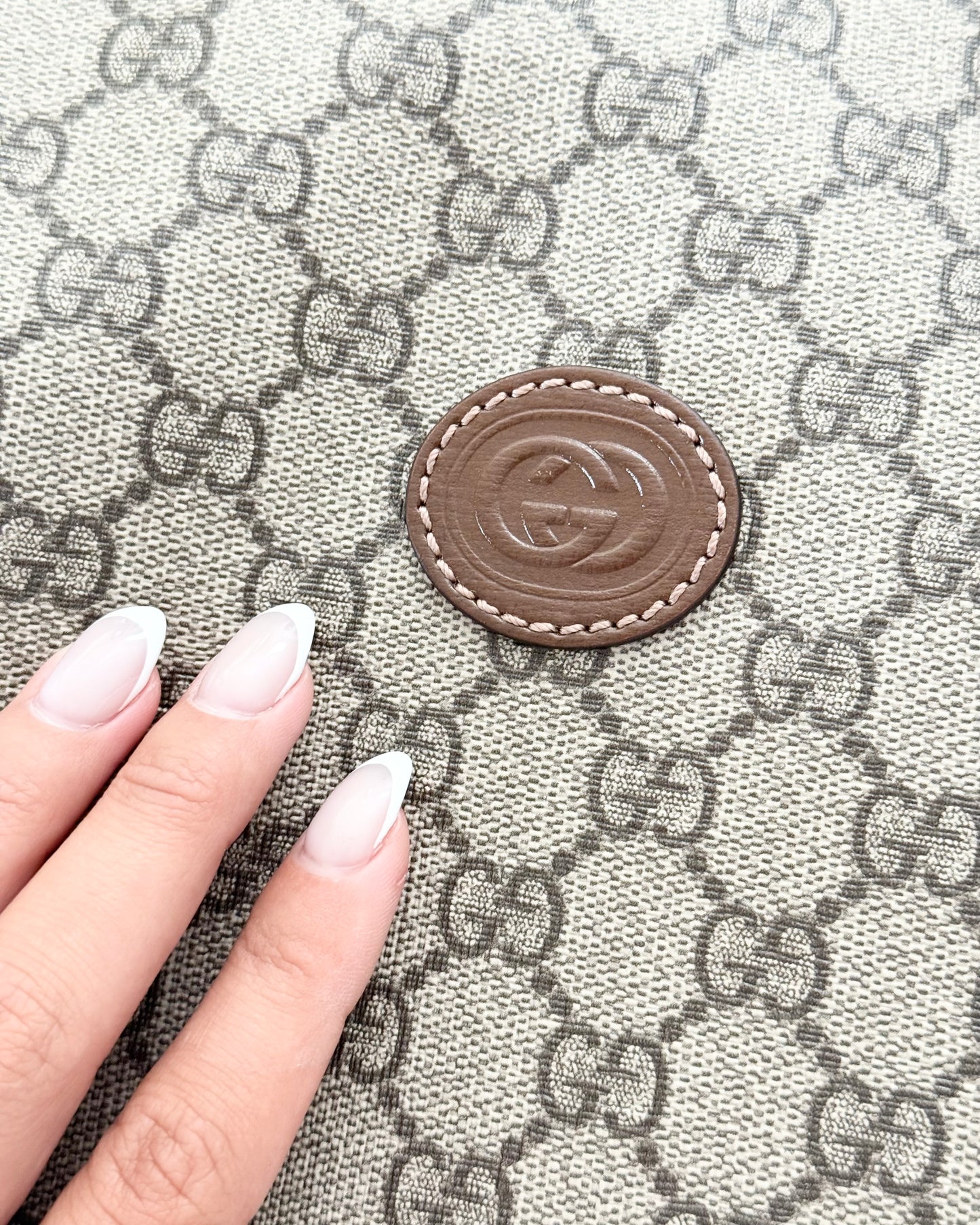 Gucci Beige/Brown Supreme Coated Canvas and Leather Garment Bag