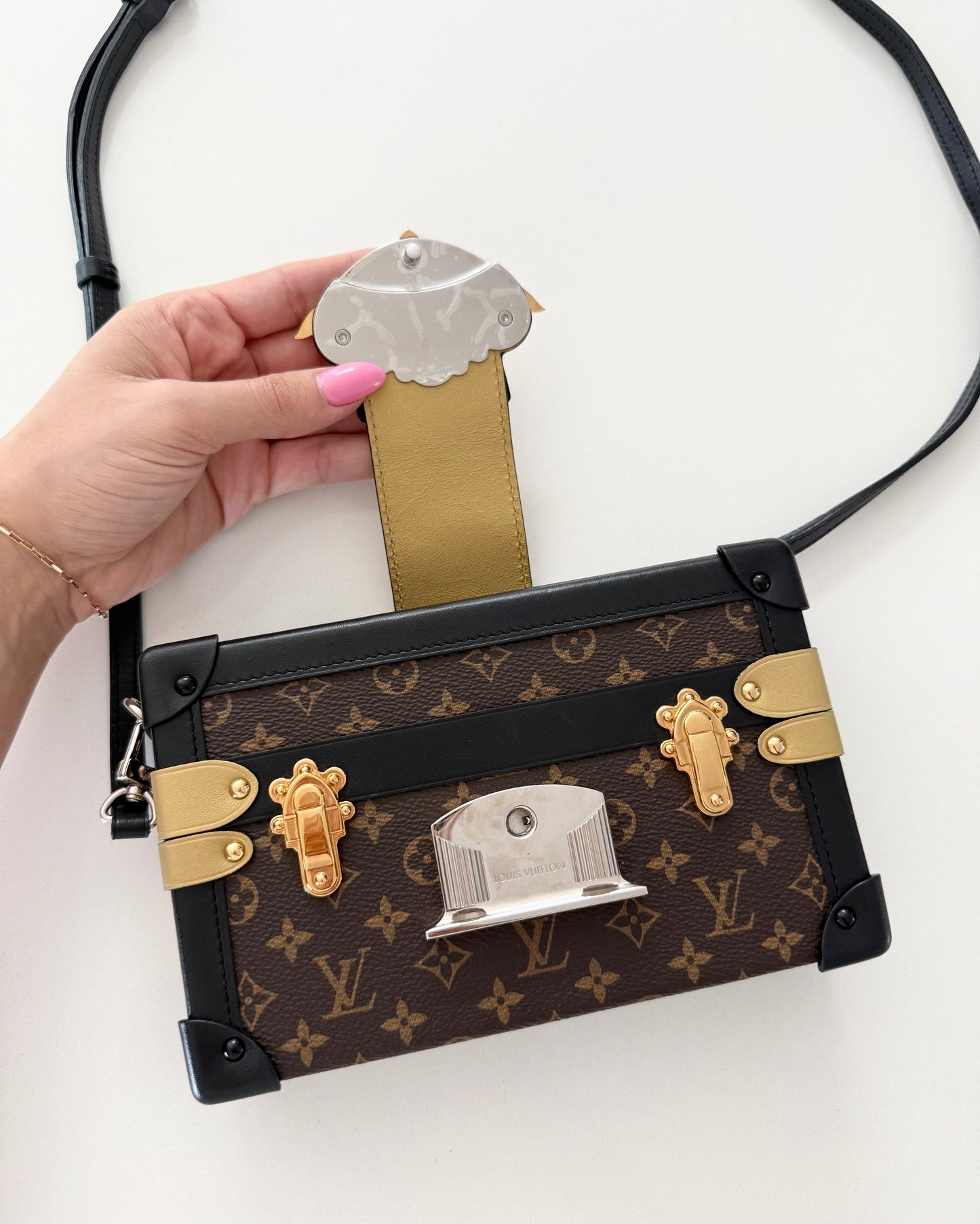 Louis Vuitton Limited Edition Parisian Petite Malle