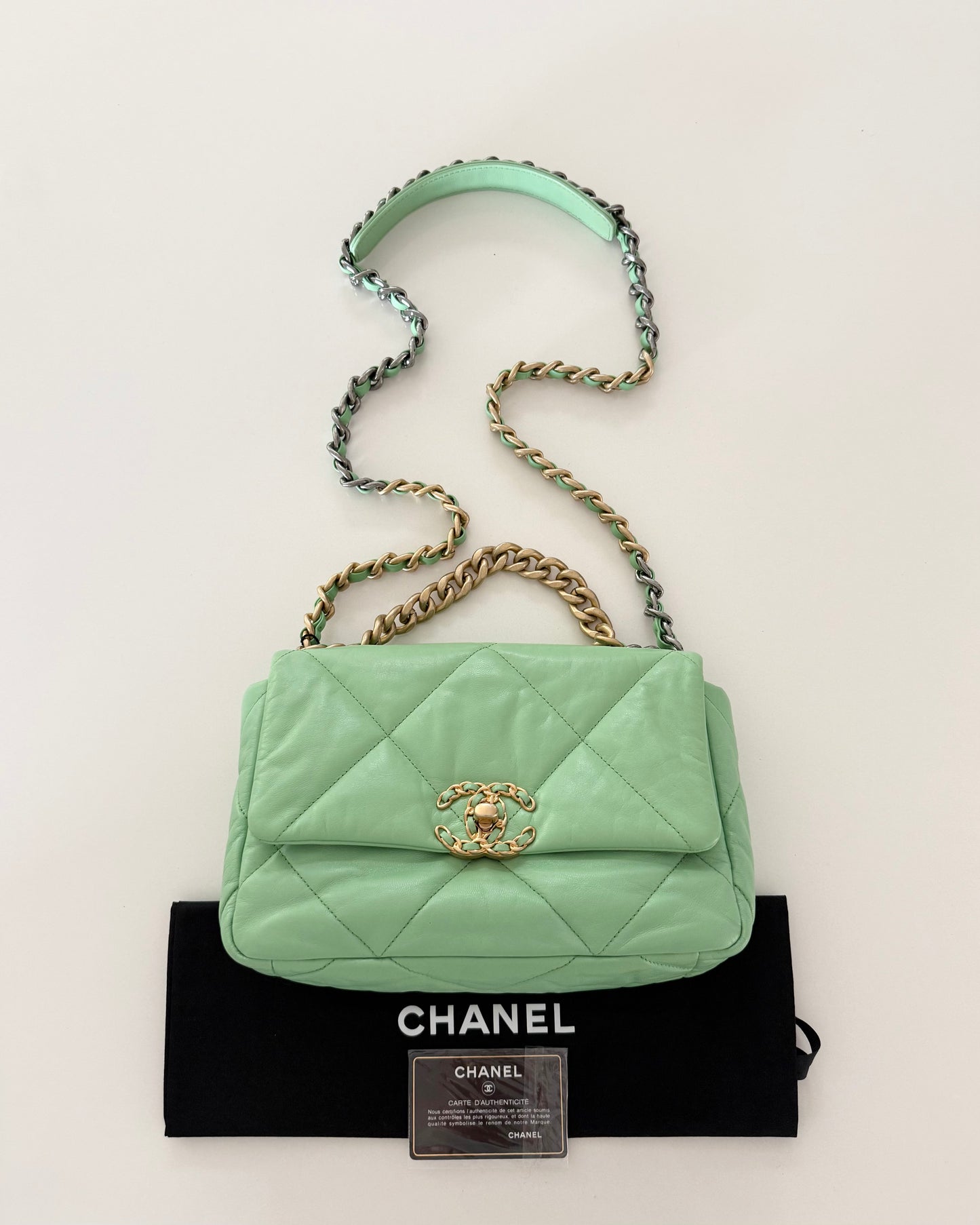 Chanel Mint Green Goatskin Small 19 Bag