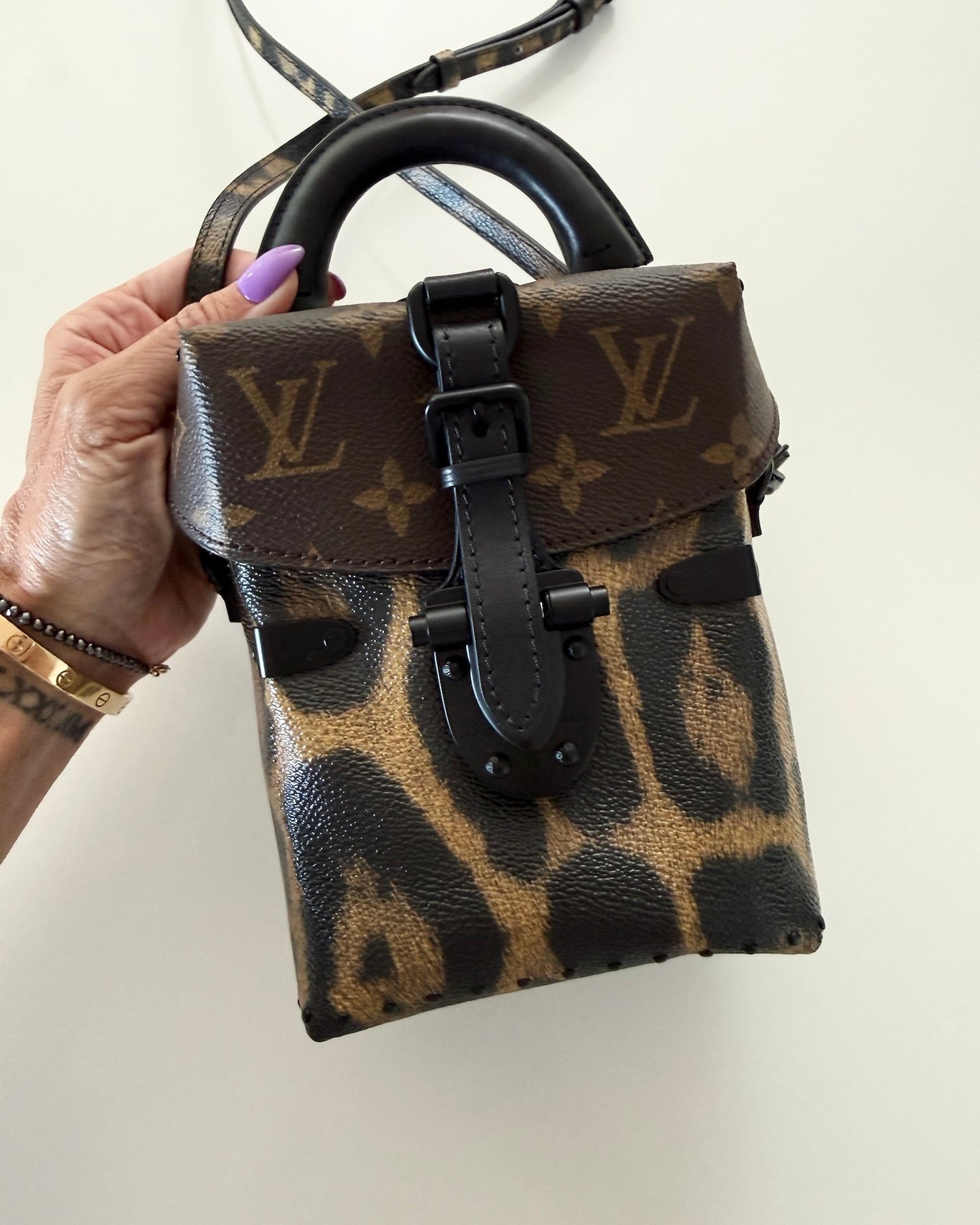 Louis Vuitton Monogram and Leopard Camera Box from 2016