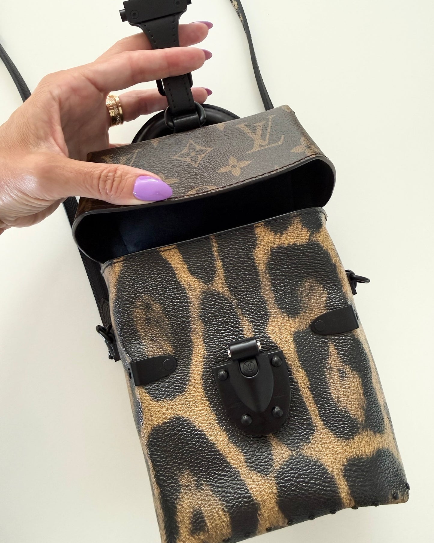 Louis Vuitton Monogram and Leopard Camera Box from 2016