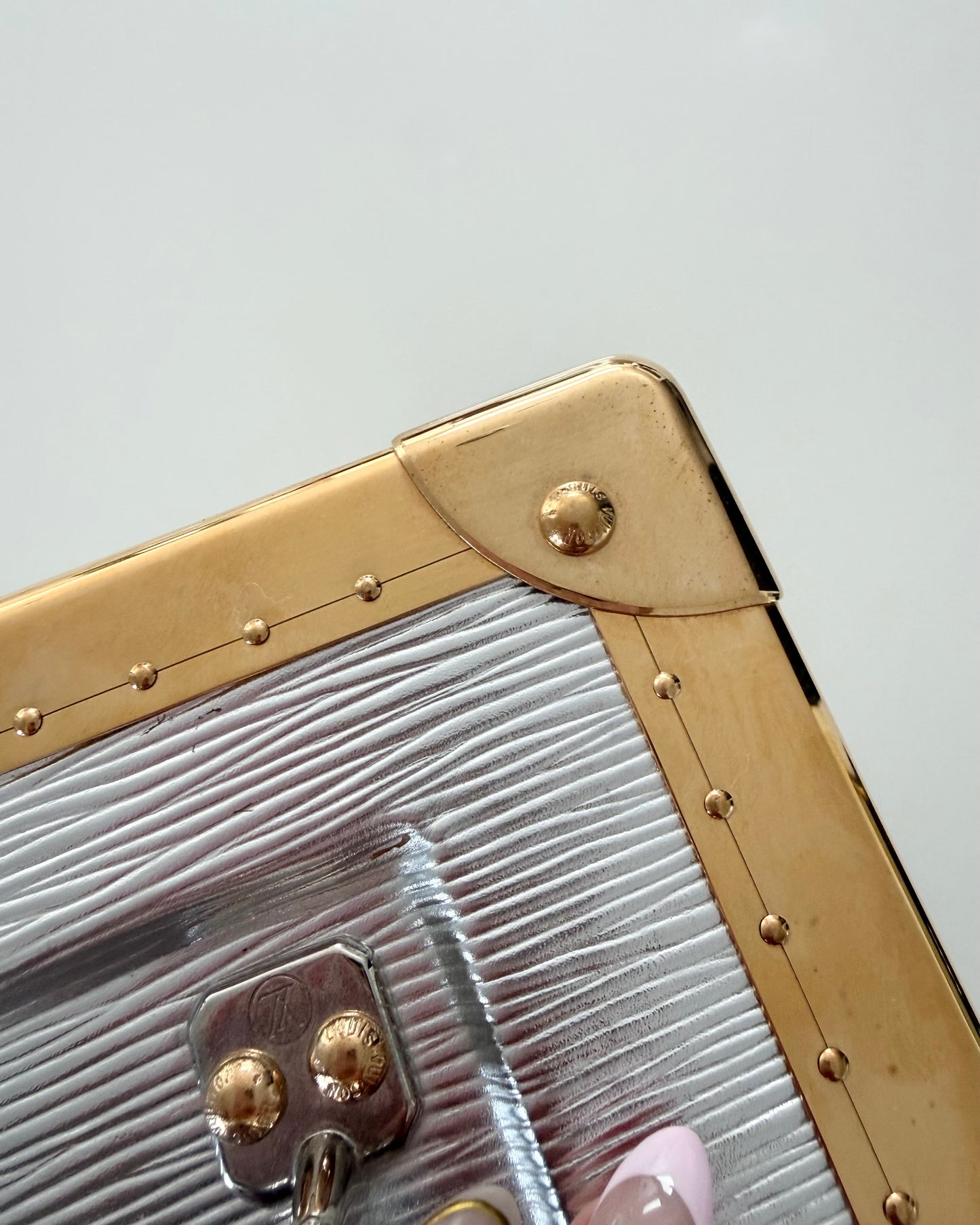 Louis Vuitton RARE Silver Epi Leather and Gold Metal Boite Promenade Case from Fall 2025 Runway