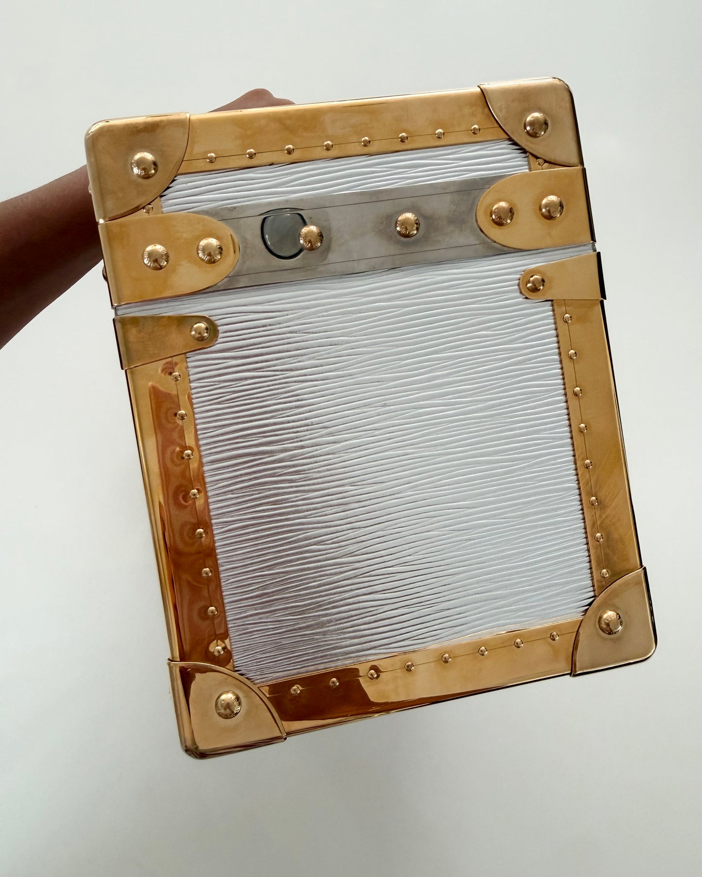 Louis Vuitton RARE Silver Epi Leather and Gold Metal Boite Promenade Case from Fall 2025 Runway
