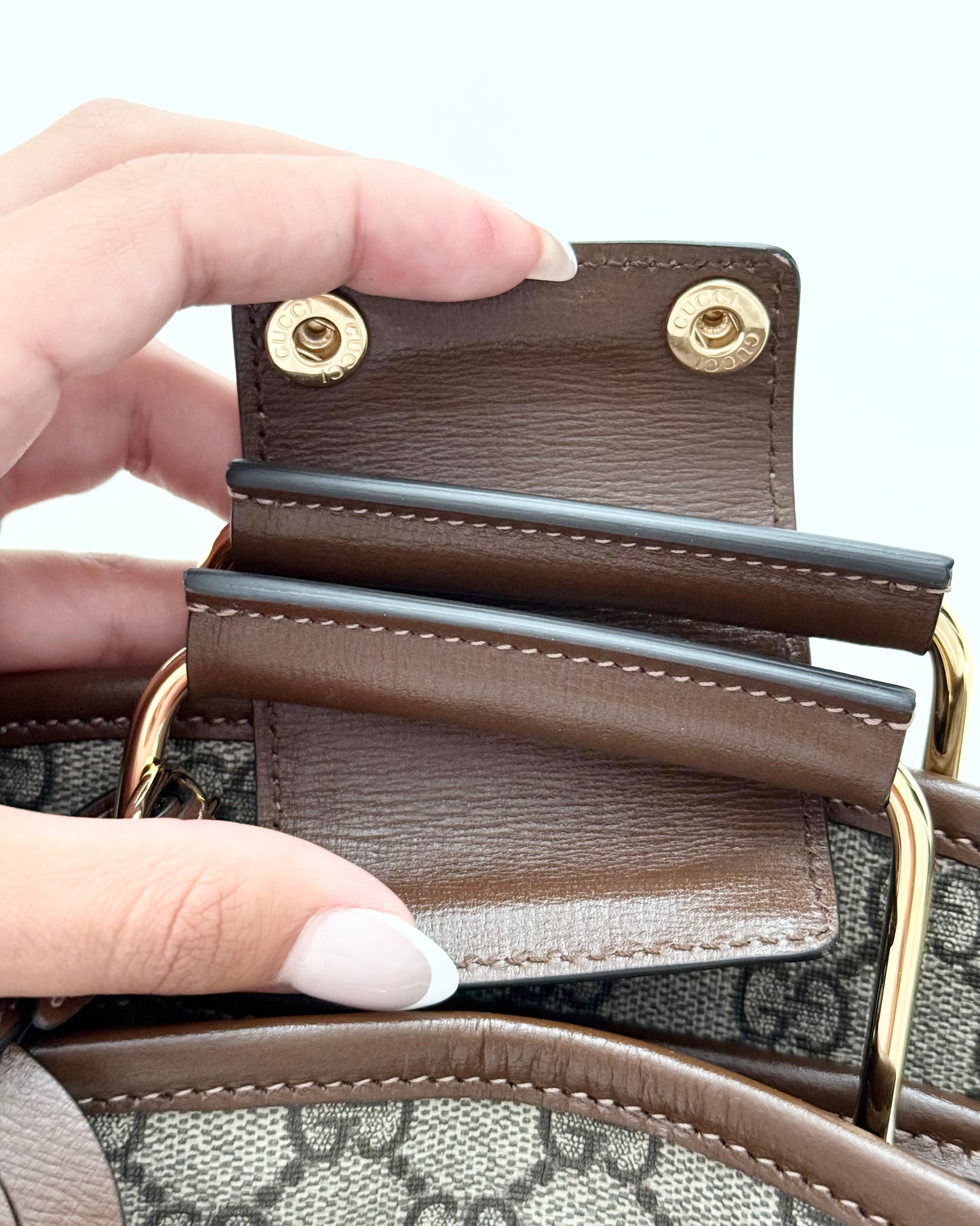 Gucci Beige/Brown Supreme Coated Canvas and Leather Garment Bag