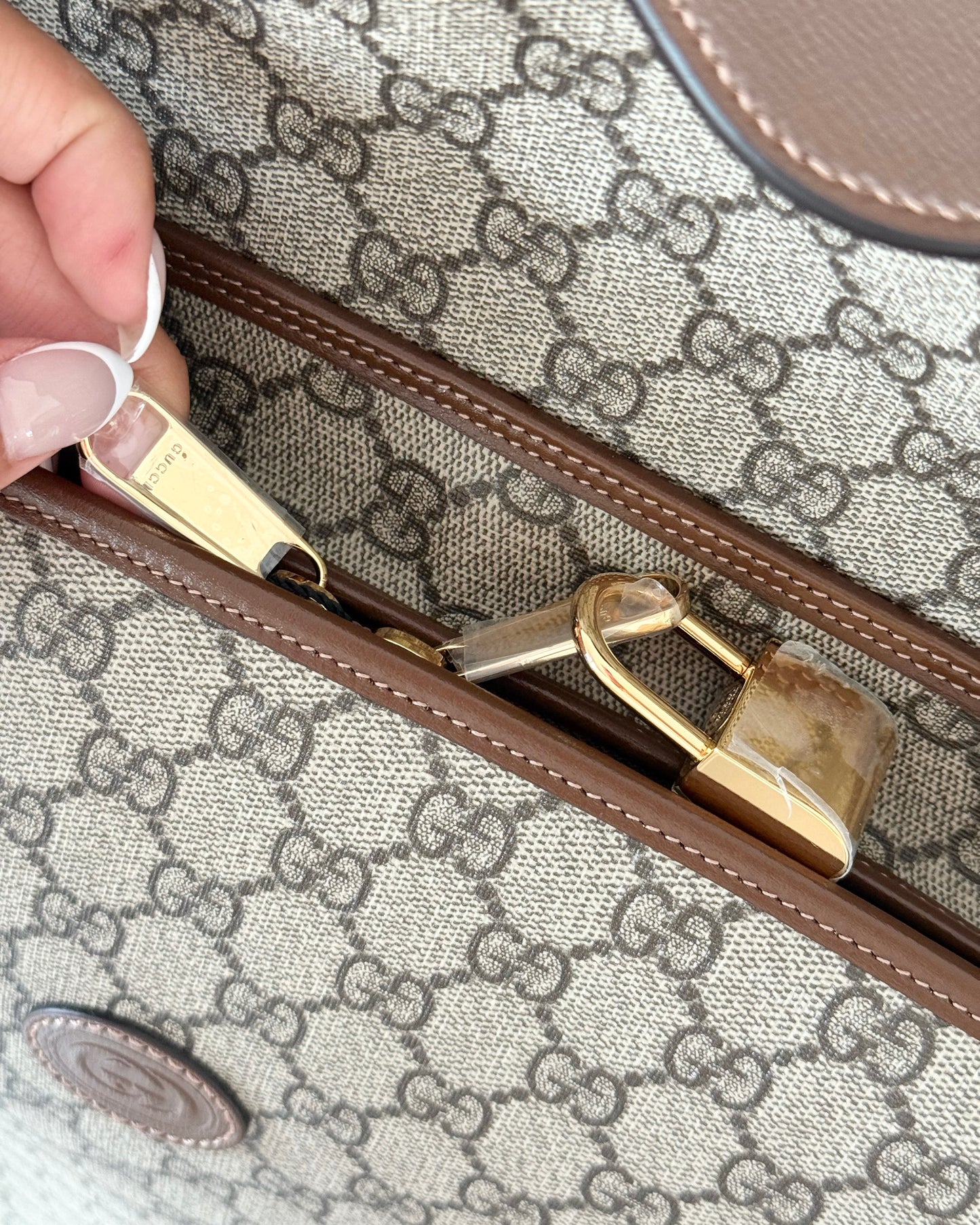 Gucci Beige/Brown Supreme Coated Canvas and Leather Garment Bag