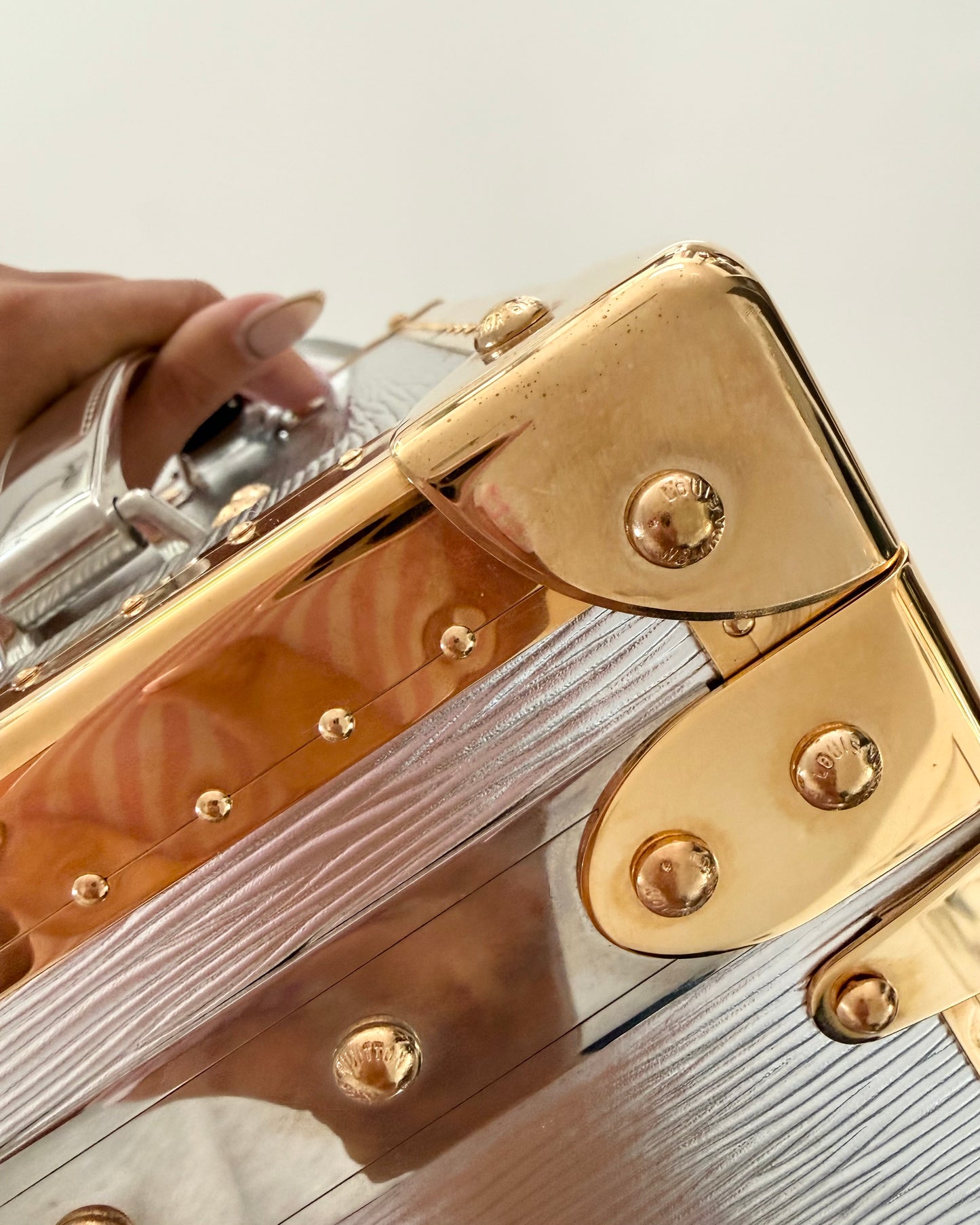 Louis Vuitton RARE Silver Epi Leather and Gold Metal Boite Promenade Case from Fall 2025 Runway