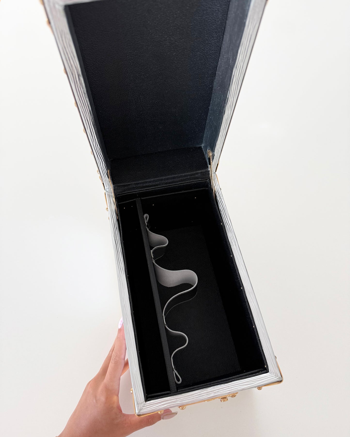 Louis Vuitton RARE Silver Epi Leather and Gold Metal Boite Promenade Case from Fall 2025 Runway