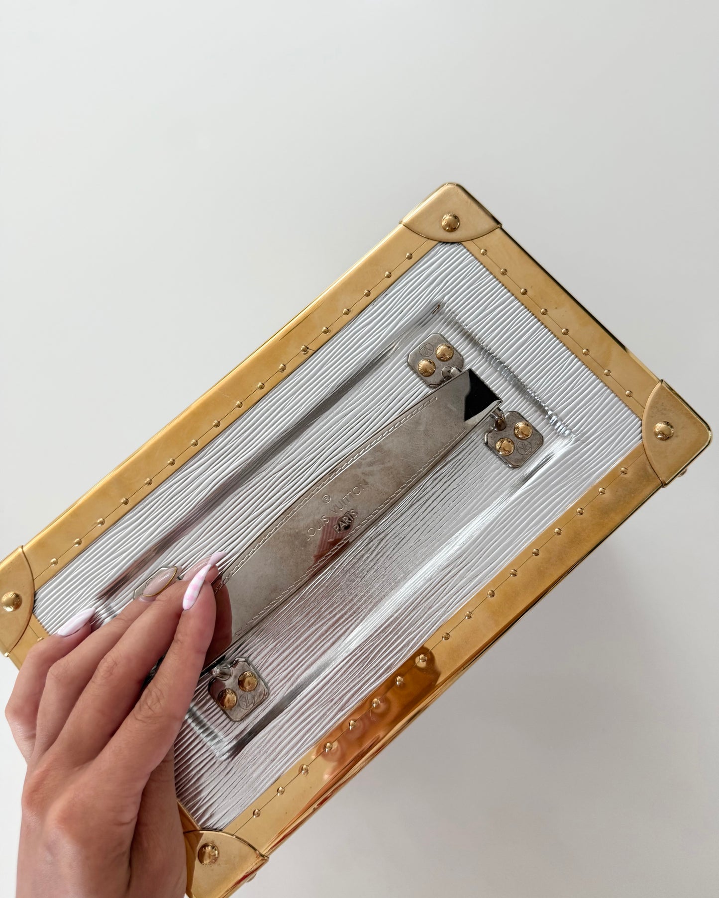 Louis Vuitton RARE Silver Epi Leather and Gold Metal Boite Promenade Case from Fall 2025 Runway