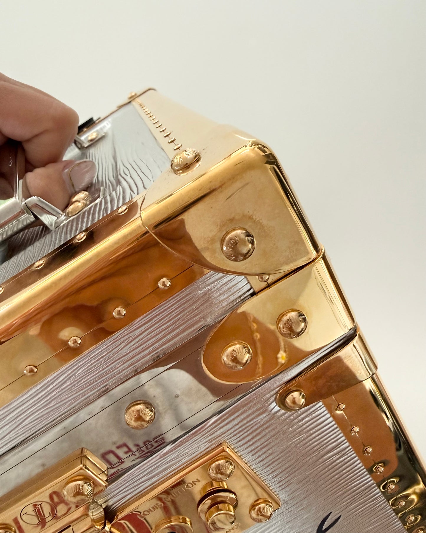 Louis Vuitton RARE Silver Epi Leather and Gold Metal Boite Promenade Case from Fall 2025 Runway
