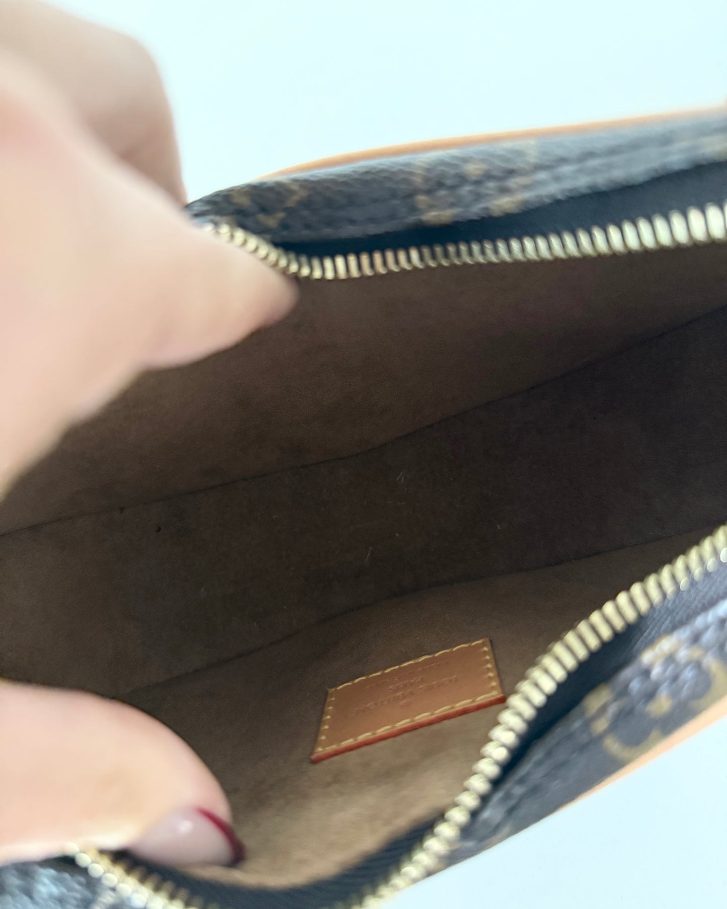 Louis Vuitton Monogram Loop Bag