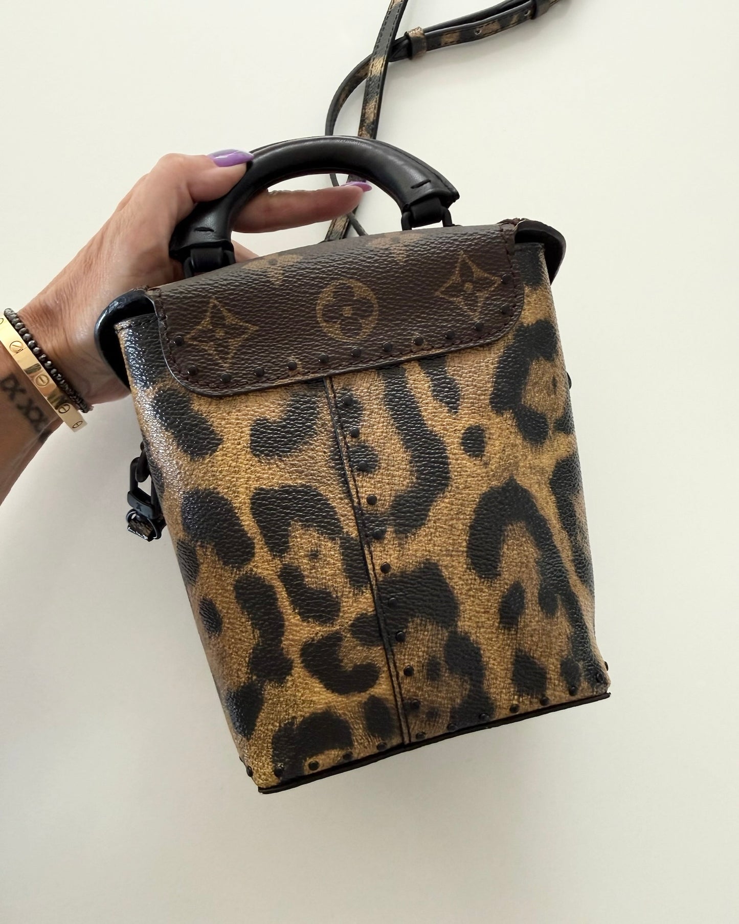 Louis Vuitton Monogram and Leopard Camera Box from 2016